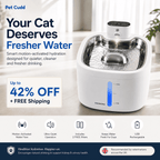 Keep Your Cat Hydrated and Healthy with the Ultra-Quiet Motion-Sensing Fountain - AquaSense