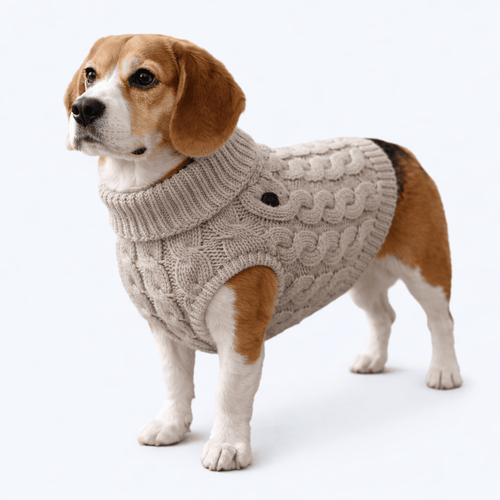 New Pet Small Pet Dog Clothesa Sweater Fashion Autumn Winter Solid Fried Dough Twists Knitting Warm Comfort Clothing