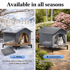 Warm, dry, and safe shelter for cats and small dogs