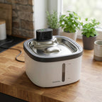 Keep Your Cat Hydrated and Healthy with the Ultra-Quiet Motion-Sensing Fountain - AquaSense
