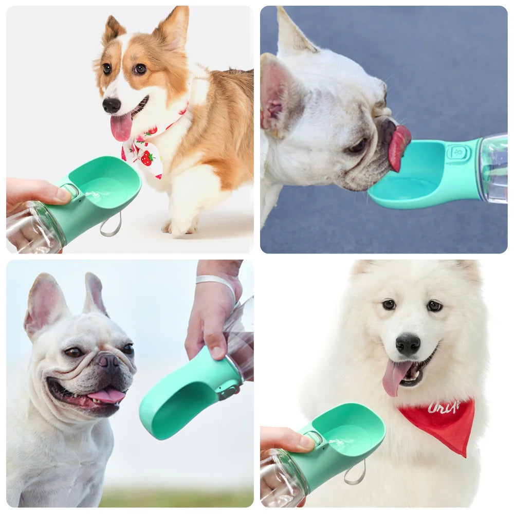 Portable Dog Water Bottle – Leakproof Outdoor Pet Dispenser