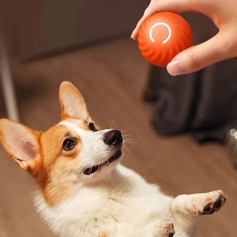 Smart Interactive Dog Ball – Automatic Moving & Bouncing Toy